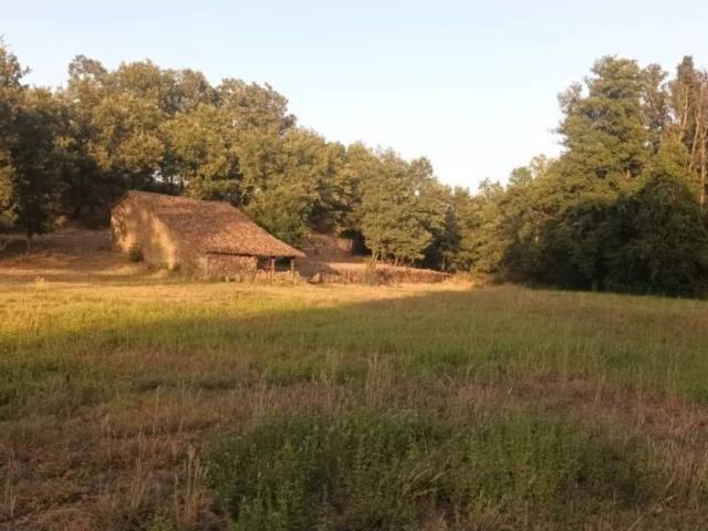 Terreno en Venta en Villanueva de la Vera