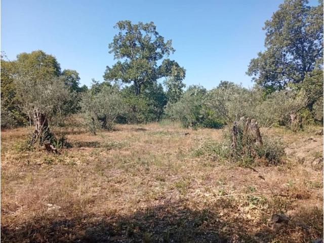 Terreno en Venta en Villanueva de la Vera