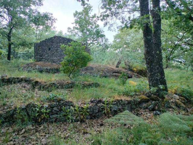 Terreno en Venta en Villanueva de la Vera
