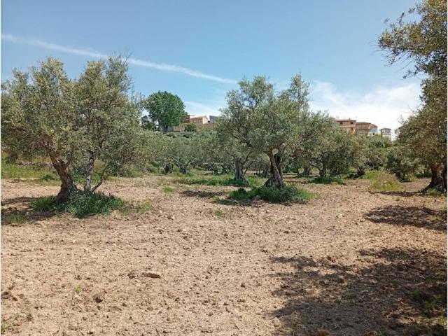 Terreno en Venta en Villanueva de la Vera