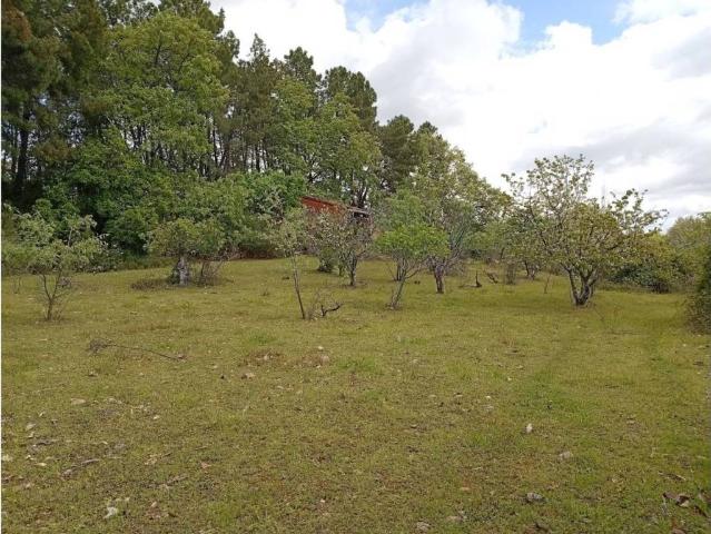 Terreno en Venta en Villanueva de la Vera