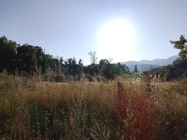 Terreno en Venta en Villanueva de la Vera