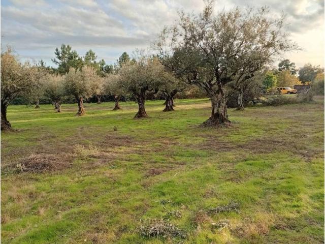 Terreno en Venta en Villanueva de la Vera