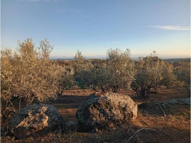 Terreno en Venta en Villanueva de la Vera