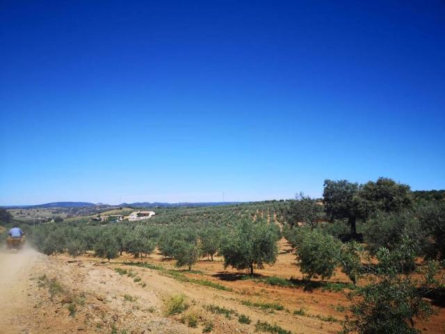 Terreno en Venta en Villanueva del Río y Minas
