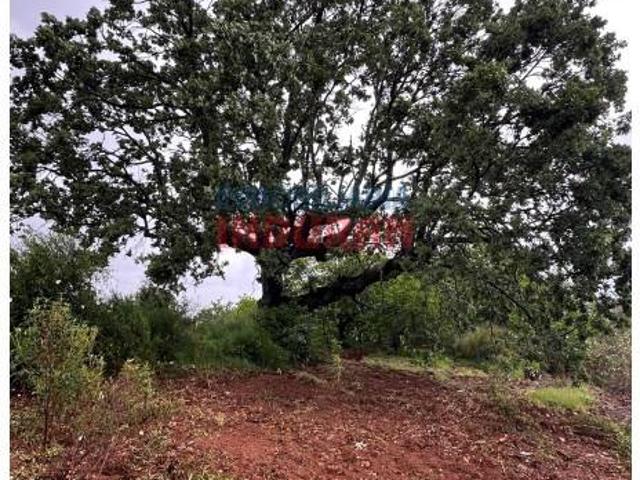 Terreno en Venta en Villar del Pedroso