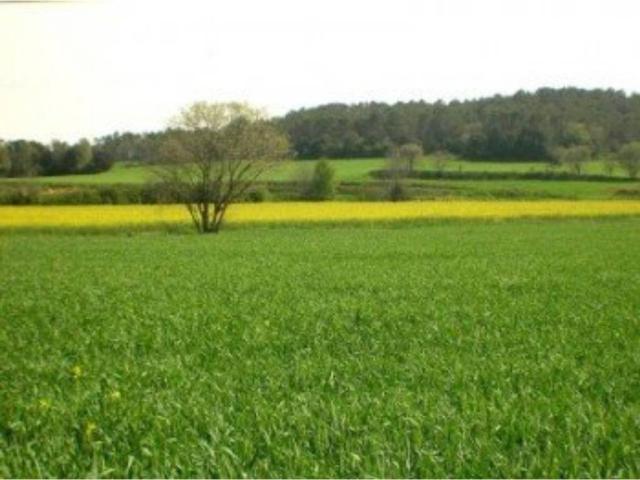 Terreno en Venta en Villarcayo de Merindad de Castilla La Vieja