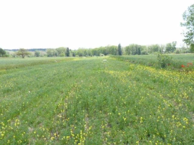 Terreno en Venta en Villarcayo de Merindad de Castilla La Vieja