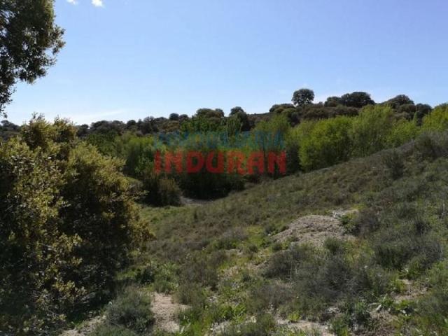 Terreno en Venta en Villarrubia de Santiago