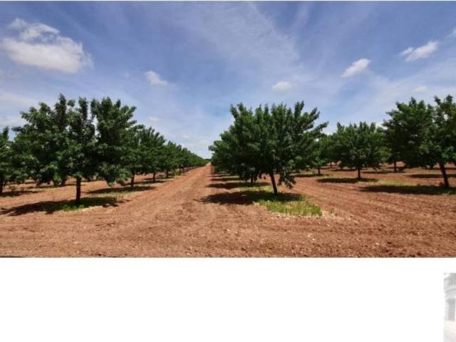 Terreno en Venta en Villarrobledo