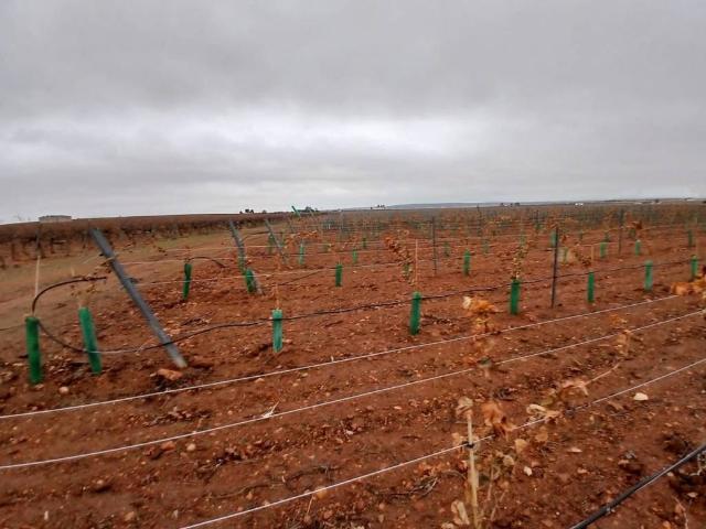 Terreno en Venta en Villarrobledo