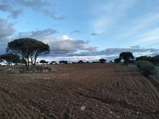 Terreno en Venta en Villarrobledo