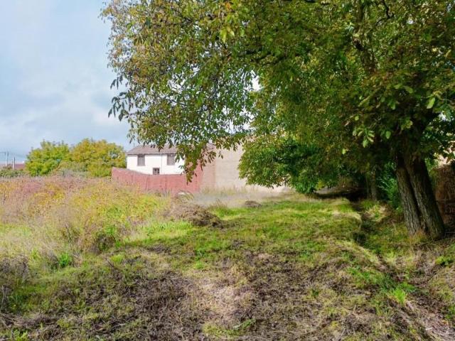 Terreno en venta en Villaturiel, Villarroañe