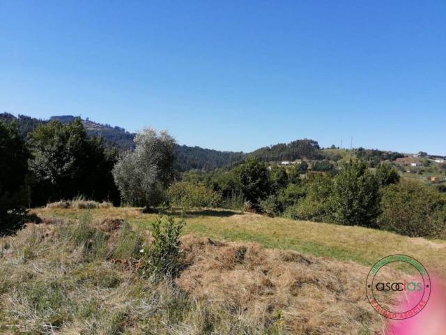 Terreno en Venta en Villaviciosa