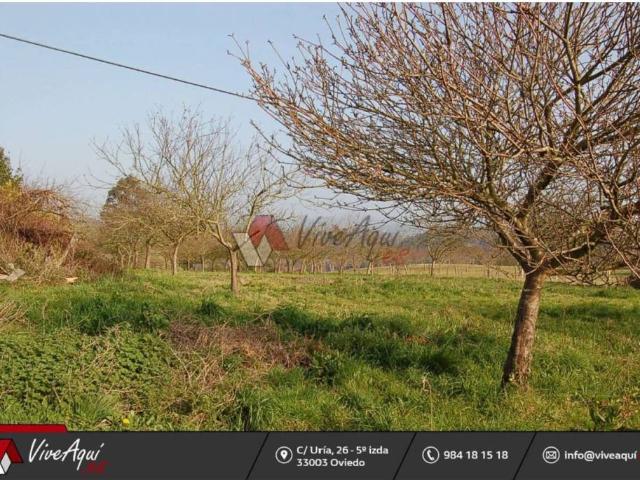 Terreno en Venta en Villaviciosa