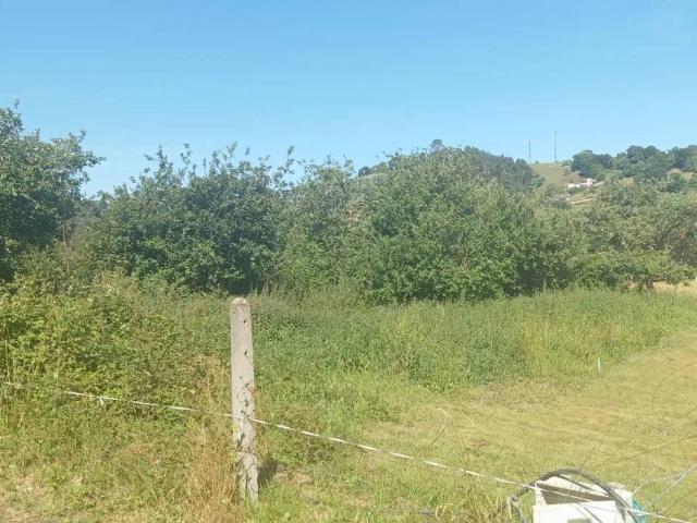 Terreno en Venta en Villaviciosa