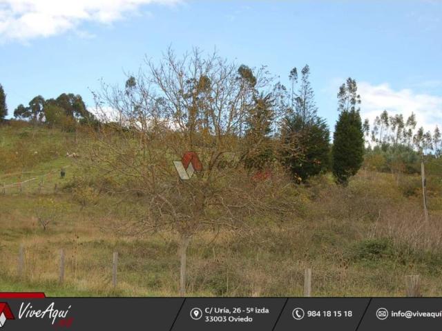 Terreno en Venta en Villaviciosa