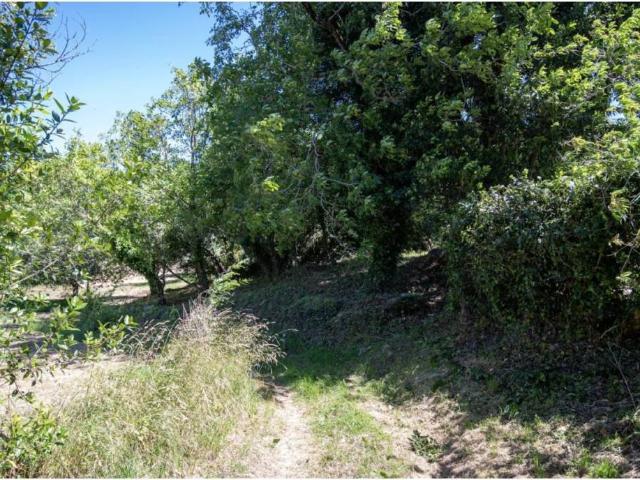 Terreno en Venta en Villaviciosa