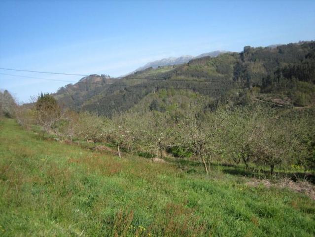 Terreno en venta en Villaviciosa, Villaviciosa