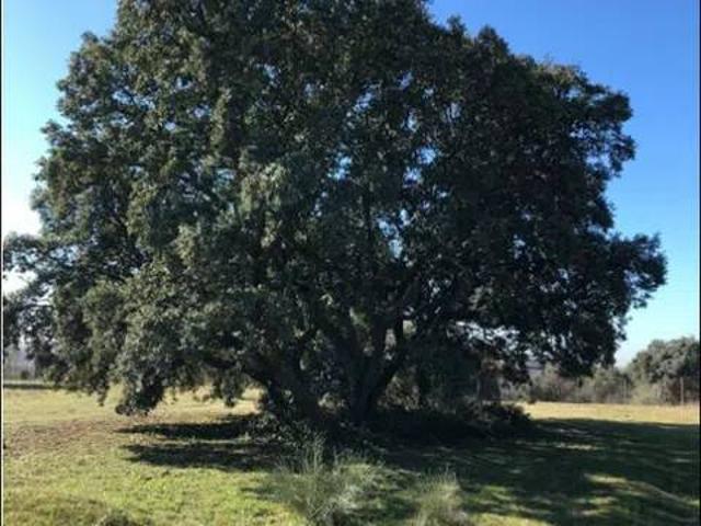 Terreno en Venta en Villaviciosa de Odón