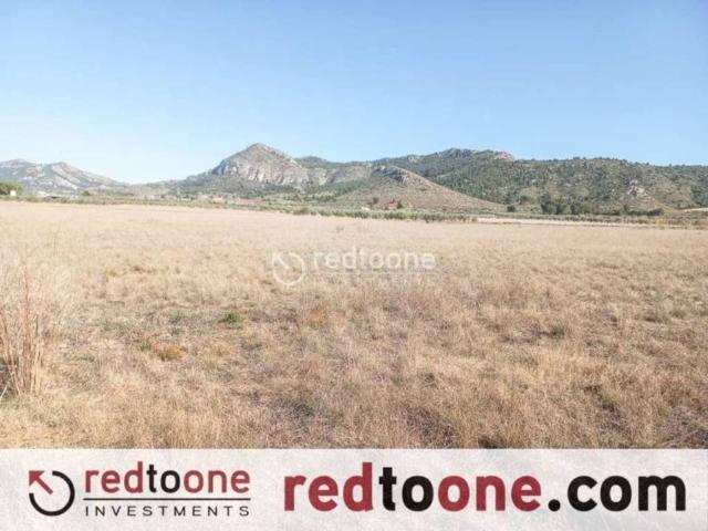 Terreno en Venta en Villena