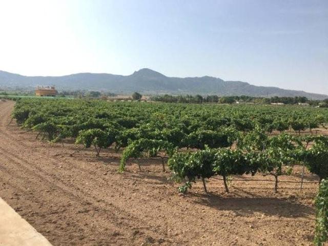 Terreno en Venta en Villena