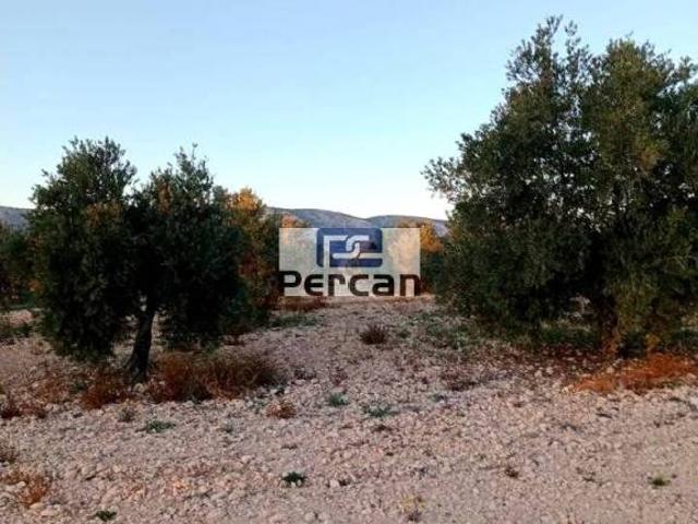 Terreno en Venta en Villena