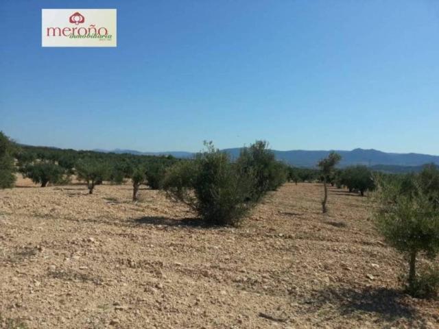 Terreno en Venta en Villena