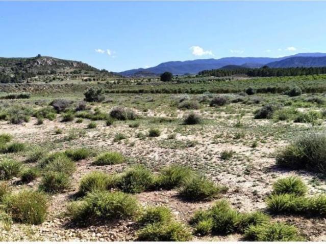 Terreno en Venta en Villena