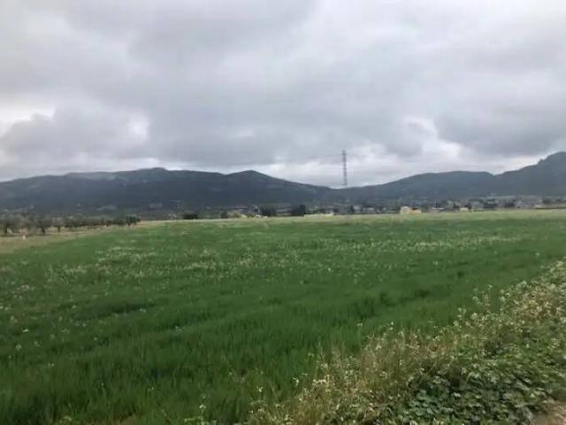 Terreno en Venta en Villena