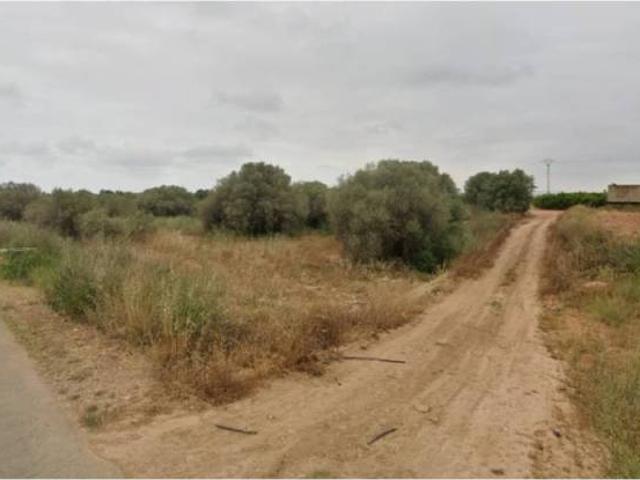 Terreno en Venta en Vinaròs