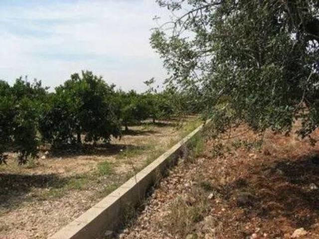 Terreno en Venta en Vinaròs