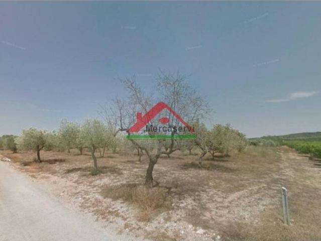 Terreno en Venta en Vinaròs