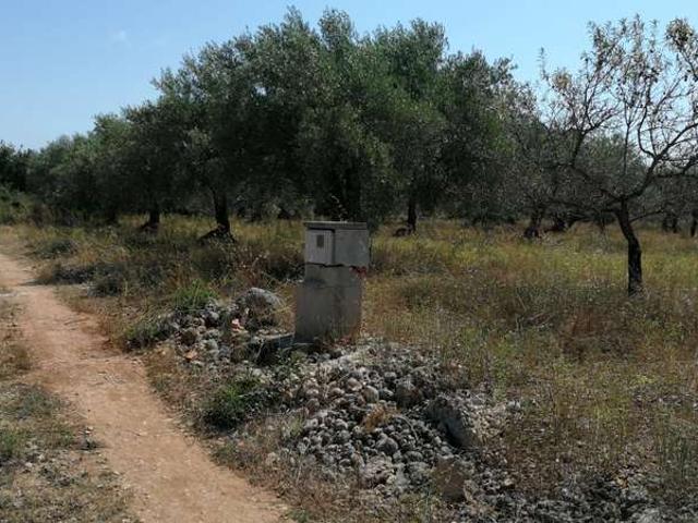Terreno en venta en Vinaròs, Suterrañes