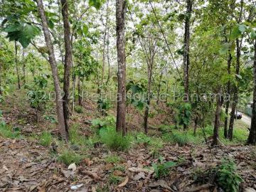 Terreno en Venta en Vista Alegre, Arraijan