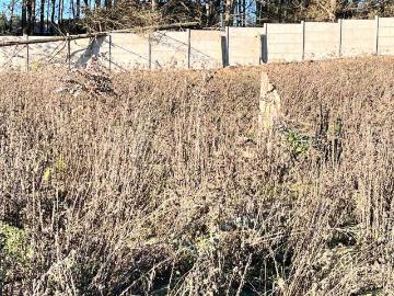 Terreno en Venta en Viña del Mar