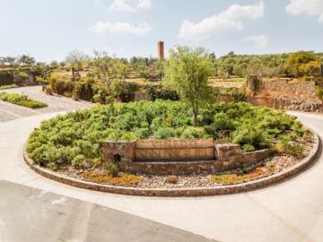 TERRENO EN VENTA EN VIÑEDOS SAN MIGUEL, SMA