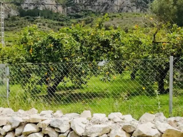 Terreno en Venta en Xaló