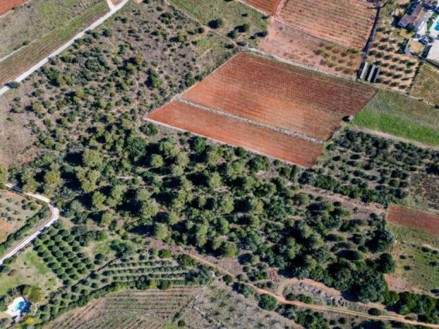 Terreno en Venta en Xaló