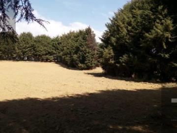 TERRENO EN VENTA EN XALATLAXO 4