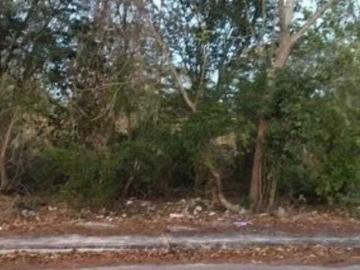 TERRENO EN VENTA EN XCANATUN