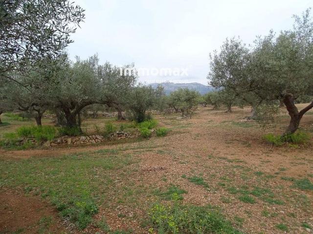 Terreno en venta en Xerta, de 35 m² por 66.000