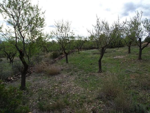 Terreno en venta en Xerta, de 40 m² por 58.000