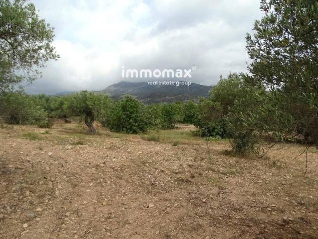 Terreno en Venta en Xerta