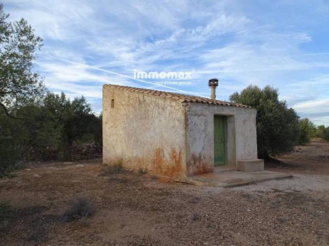 Terreno en Venta en Xerta