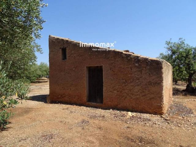 Terreno en Venta en Xerta
