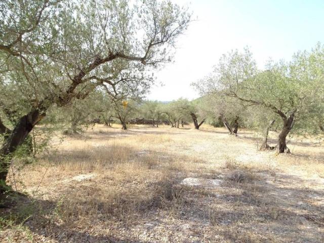 Terreno en Venta en Xerta