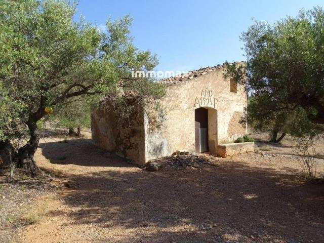 Terreno en Venta en Xerta