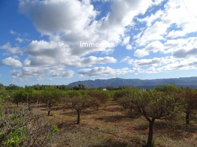 Terreno en Venta en Xerta