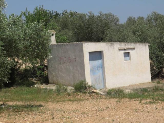 Terreno en Venta en Xerta